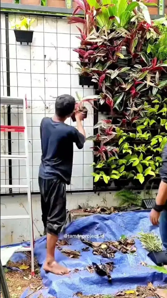 Cara Buat Vertical Garden di Rumah